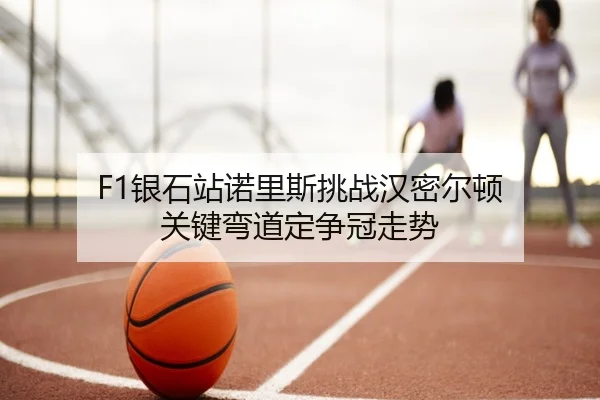 yin-shi-zhan-nuo-li-si-tiao-zhan-han-mi-er-dun-guan-jian-wan-dao-ding-zheng-guan-zou-shi-3-990.jpg